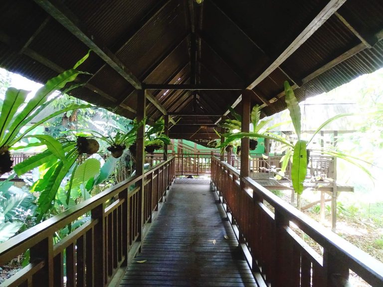 Hotels | Rama Tours