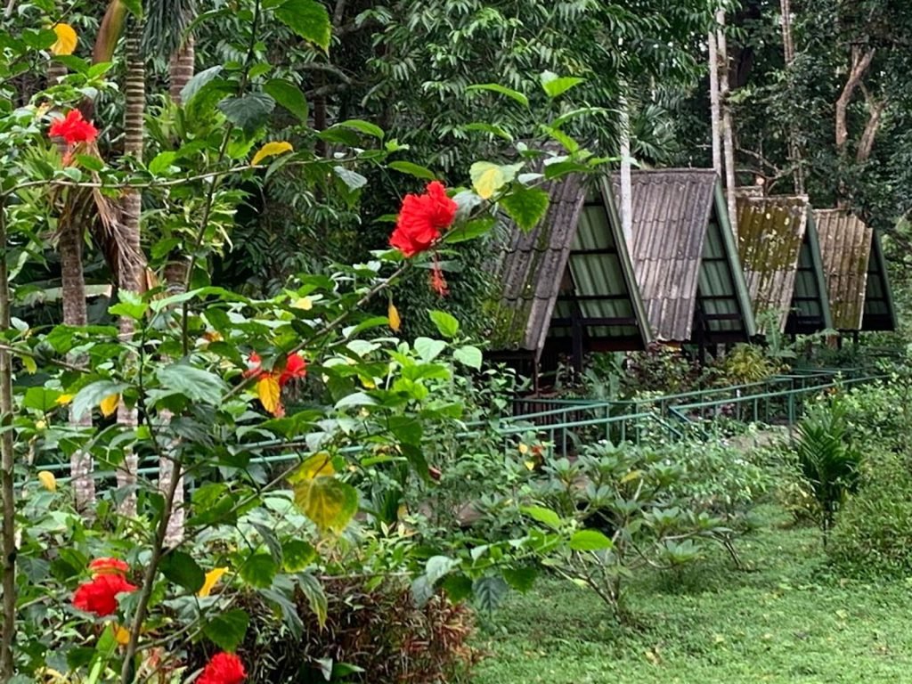 Hotels | Rama Tours