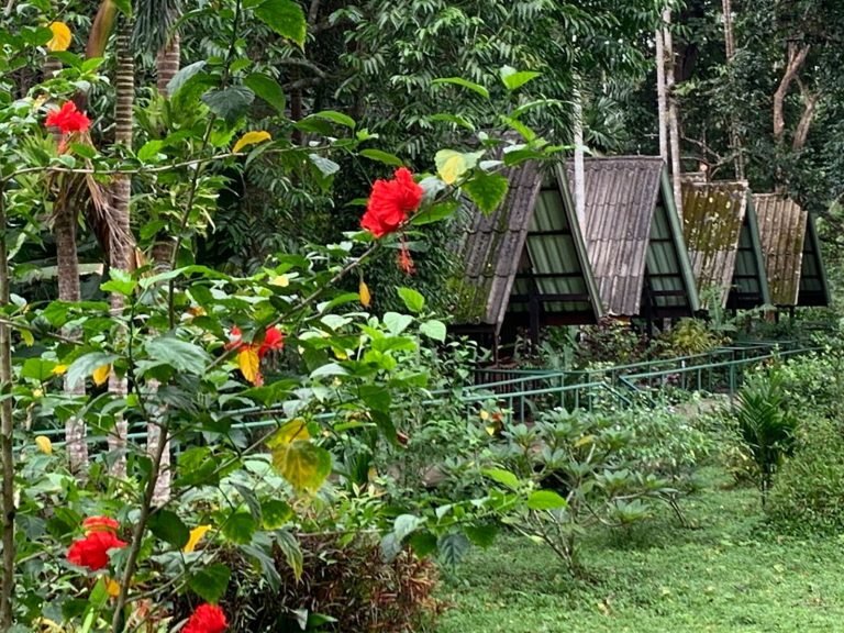 Hotels | Rama Tours