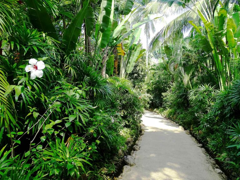 Hotels | Rama Tours