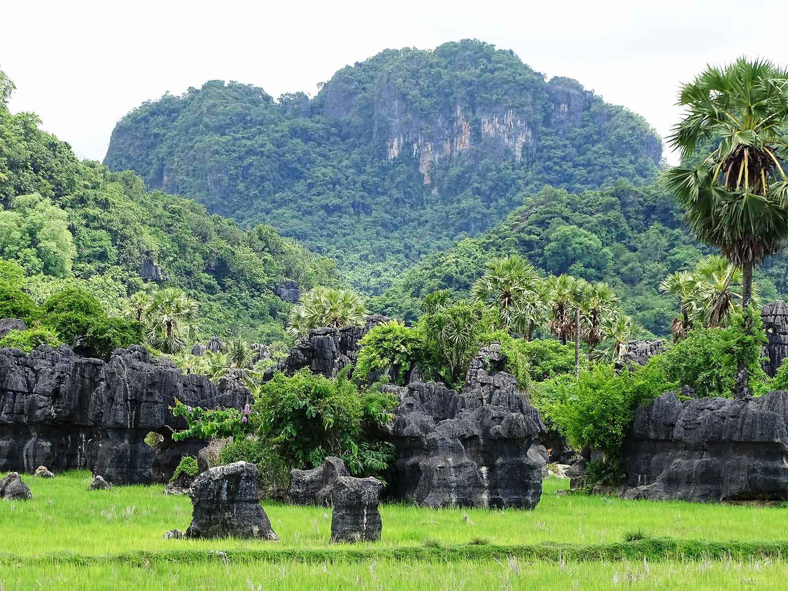 rondreis sulawesi rammang rammang ecolodge 2