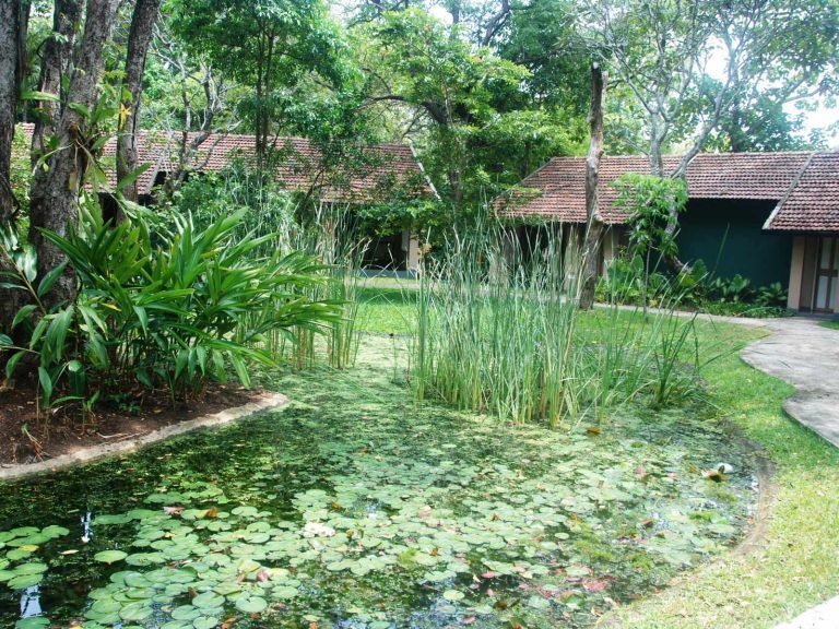 Hotels | Rama Tours