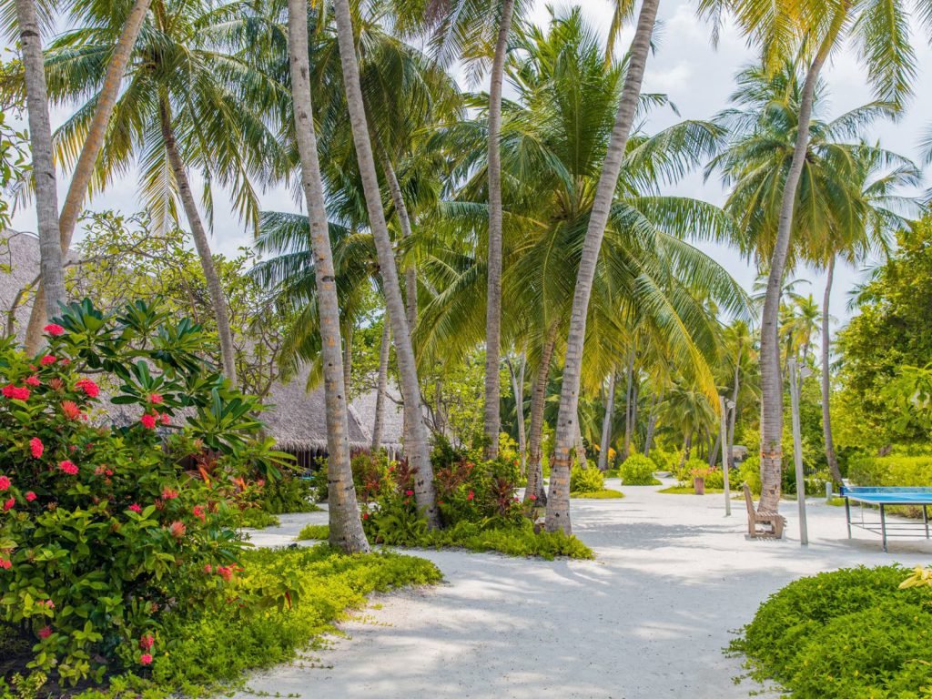 Hotels | Rama Tours