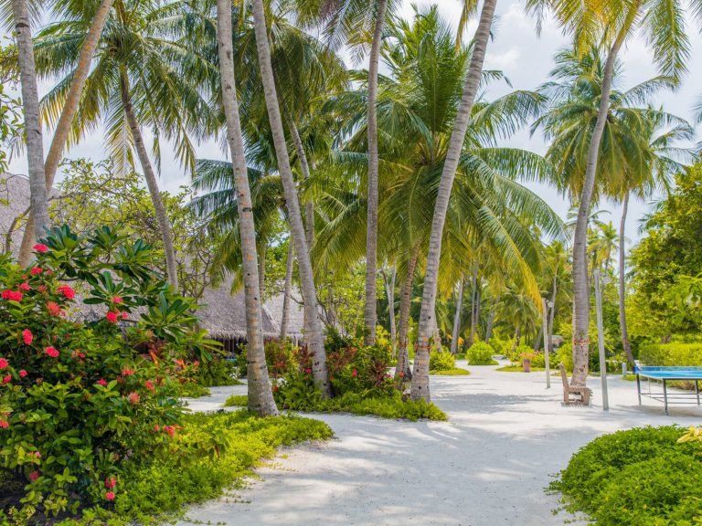 Hotels | Rama Tours