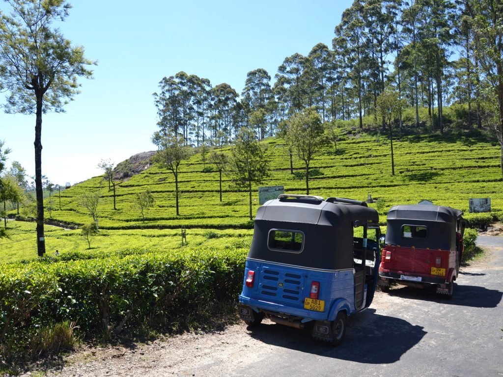 Lipton’s Seat | Rama Tours