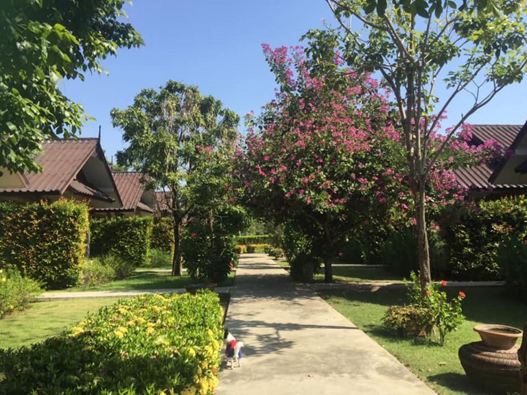 Hotels | Rama Tours
