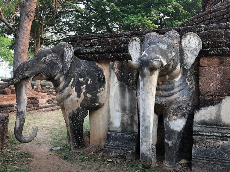 Hoogtepunten | Rama Tours