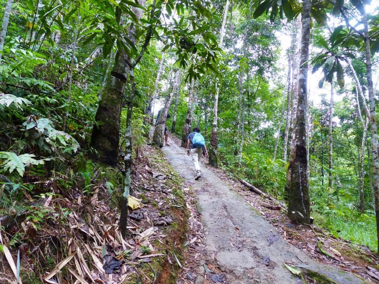 Hoogtepunten | Rama Tours