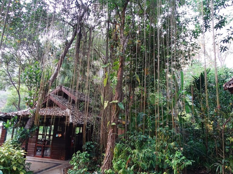 Hotels | Rama Tours
