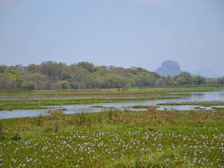 Hoogtepunten | Rama Tours