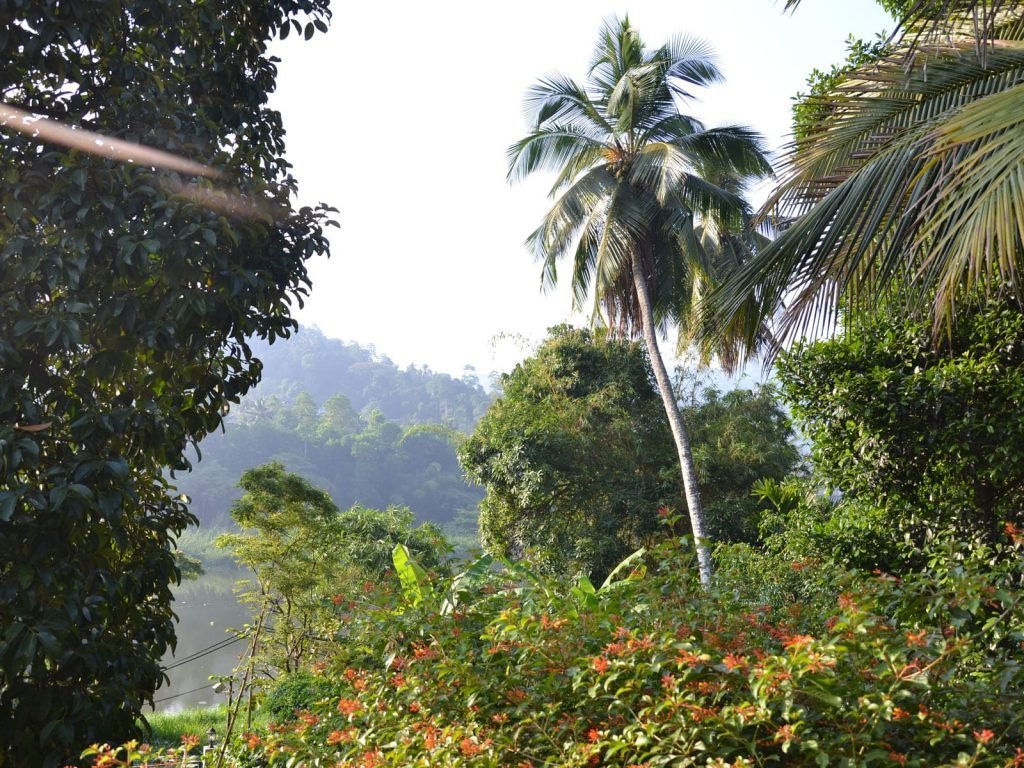Hotels | Rama Tours