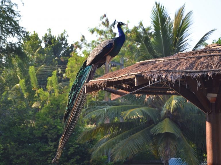 Hotels | Rama Tours