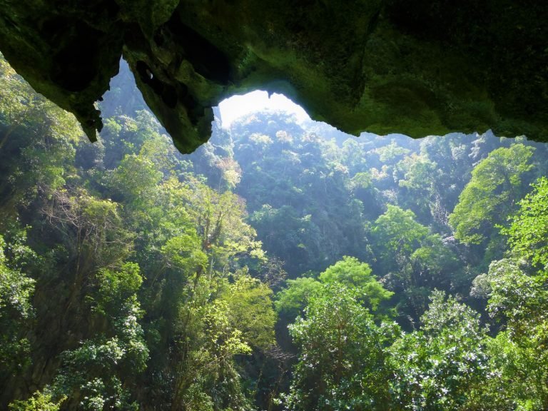 Hoogtepunten | Rama Tours
