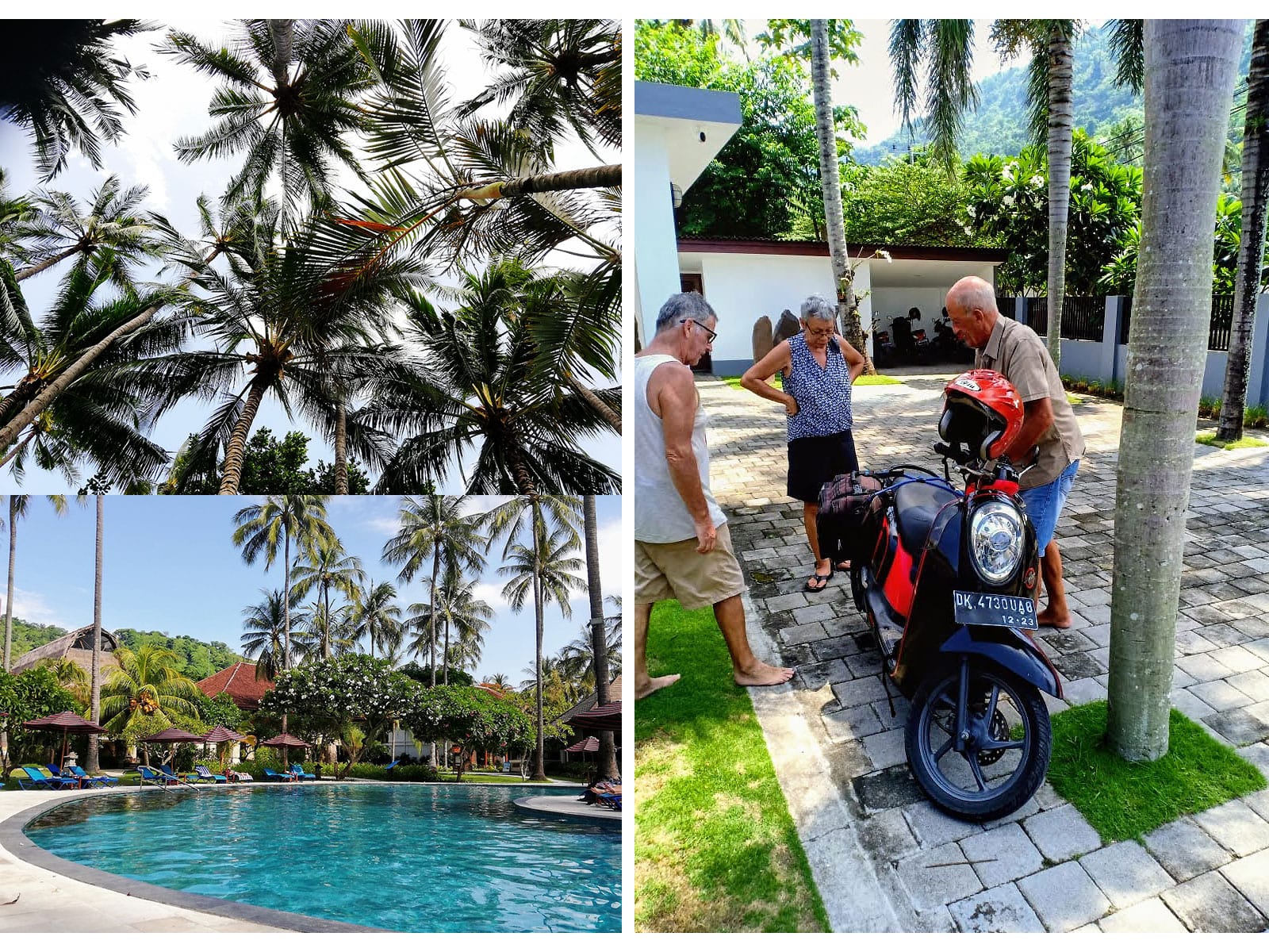 collage lombok collage lombok