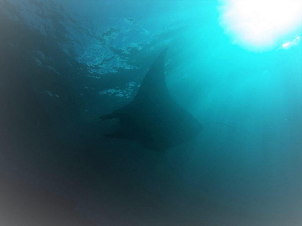 rondreis bali nusa penida mantarog