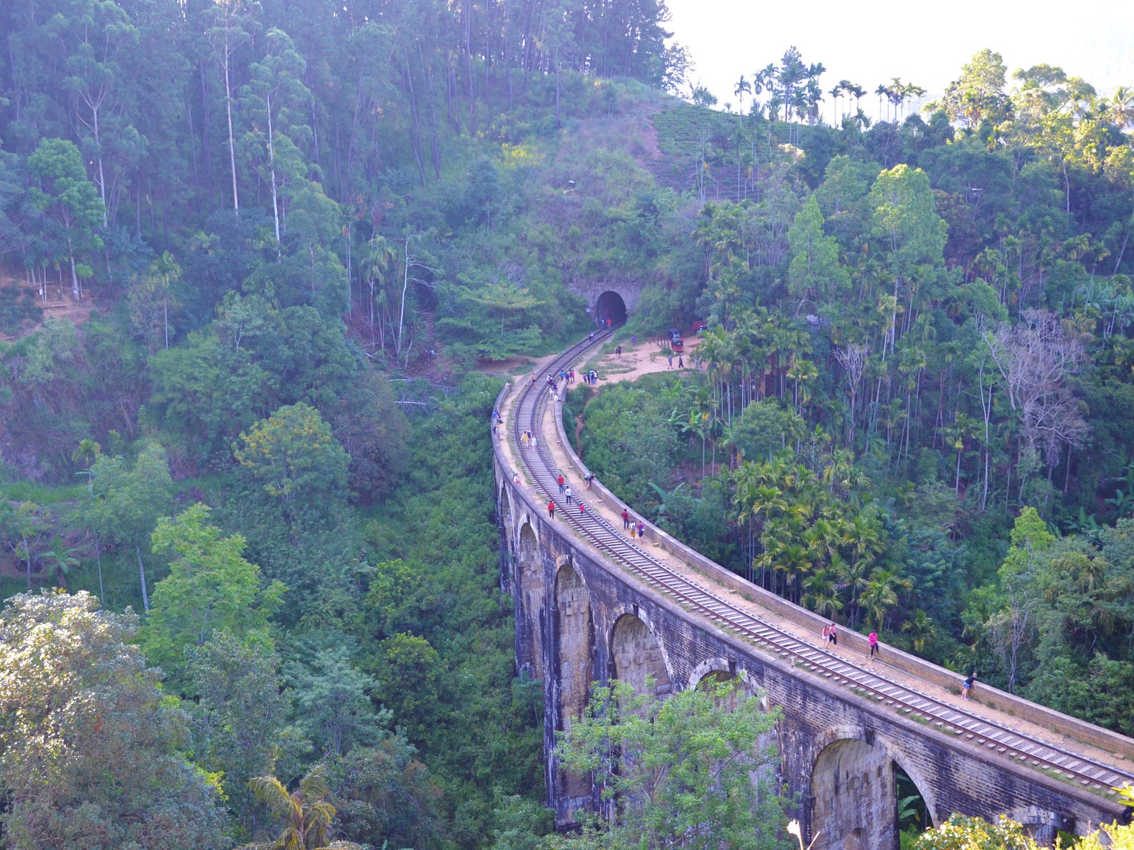 rondreis sri lanka treinreis 4