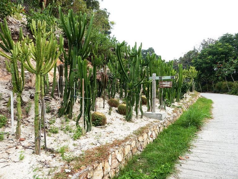 Hoogtepunten | Rama Tours