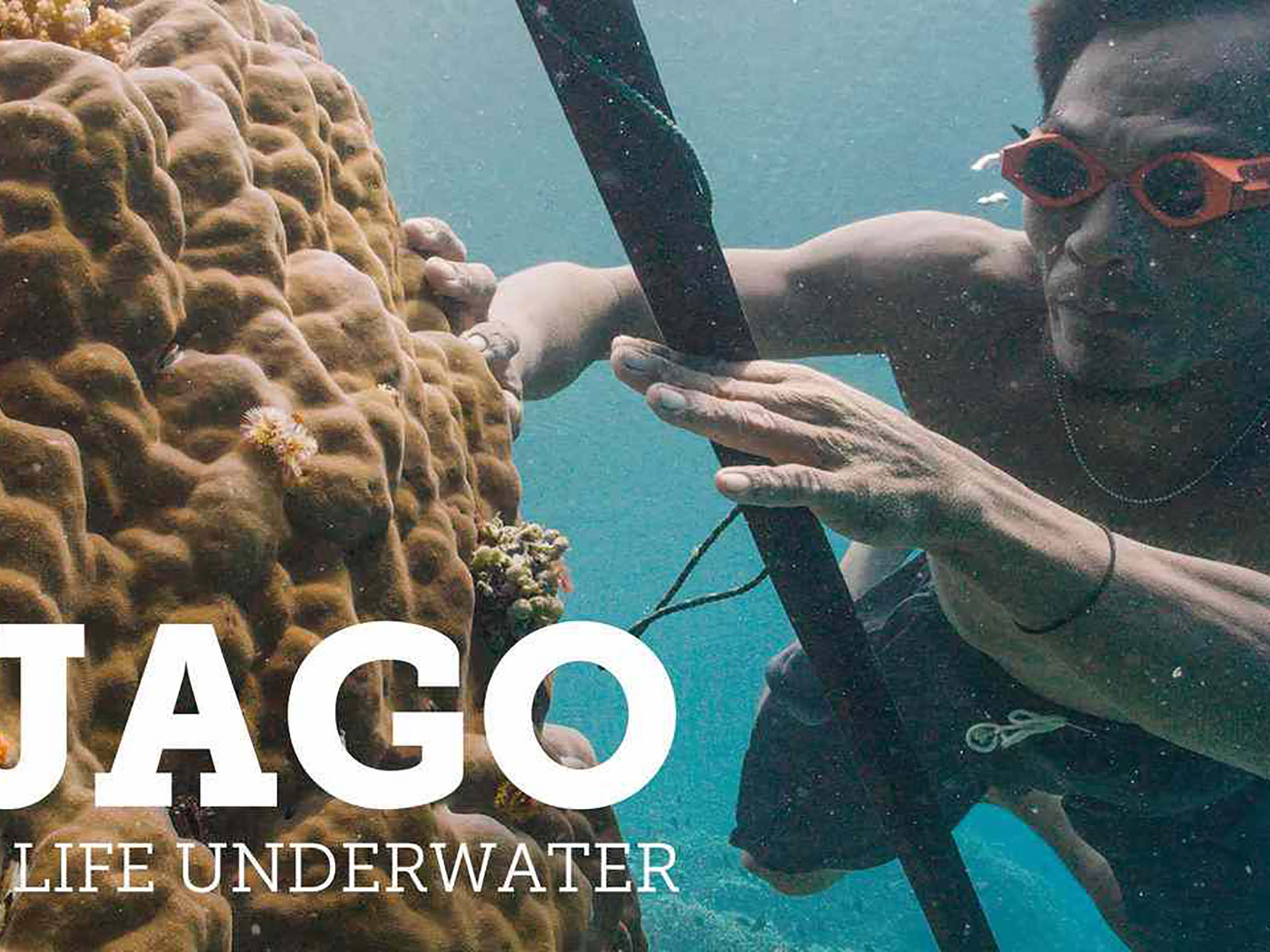 blog boeken- en filmtips indonesie jago 1