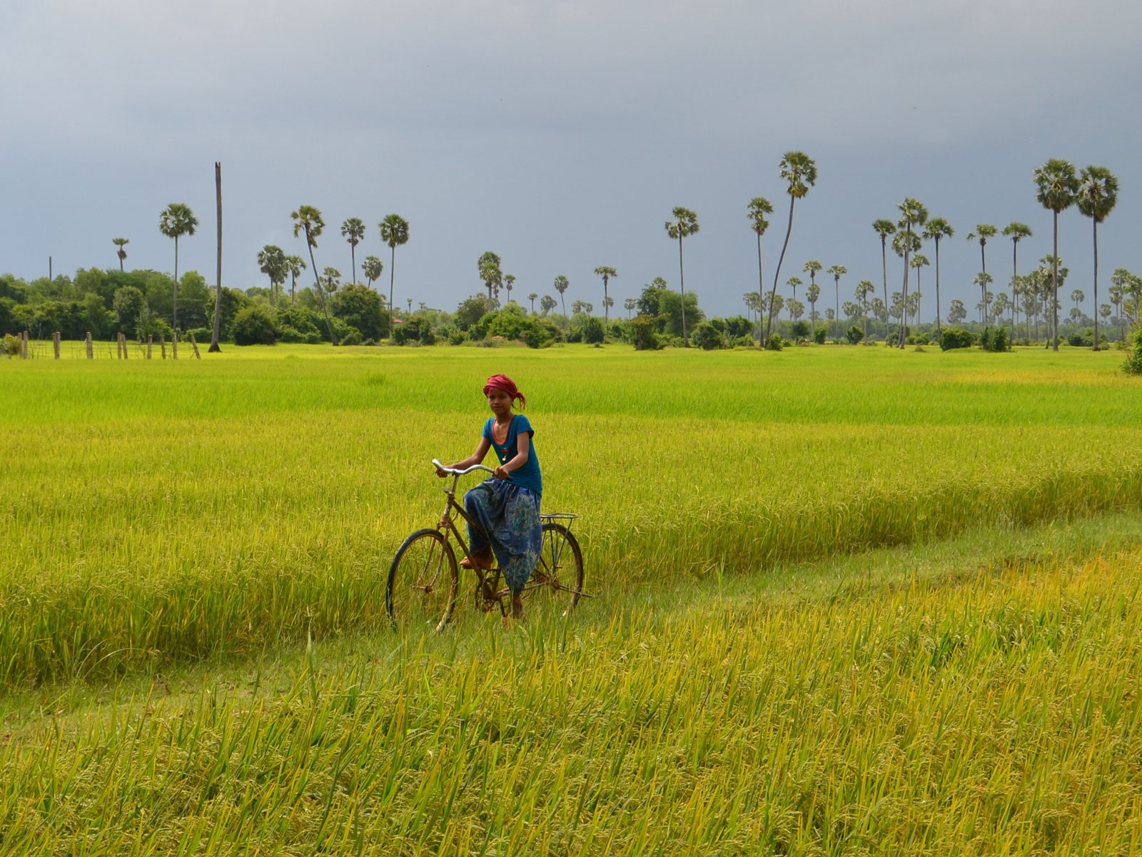 rondreis cambodja siem reap fietsen hoogtepunt