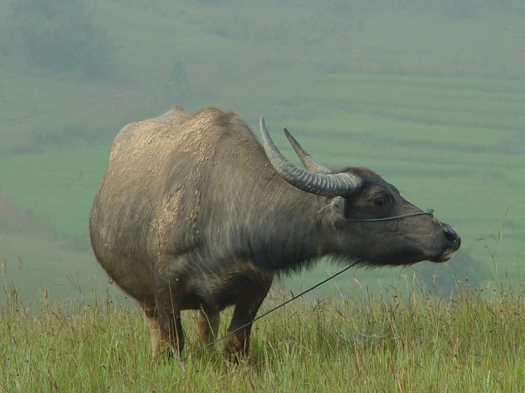 Hoogtepunten | Rama Tours