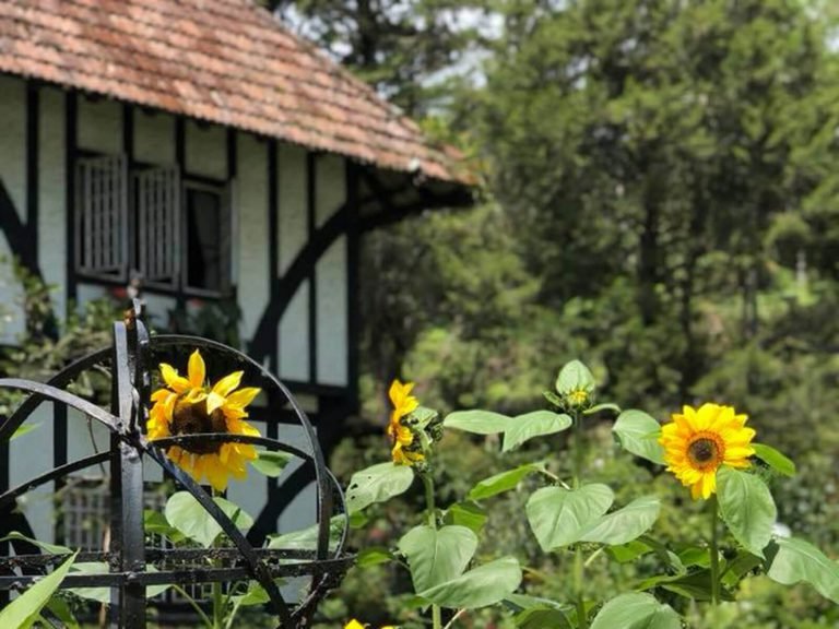 Hotels | Rama Tours