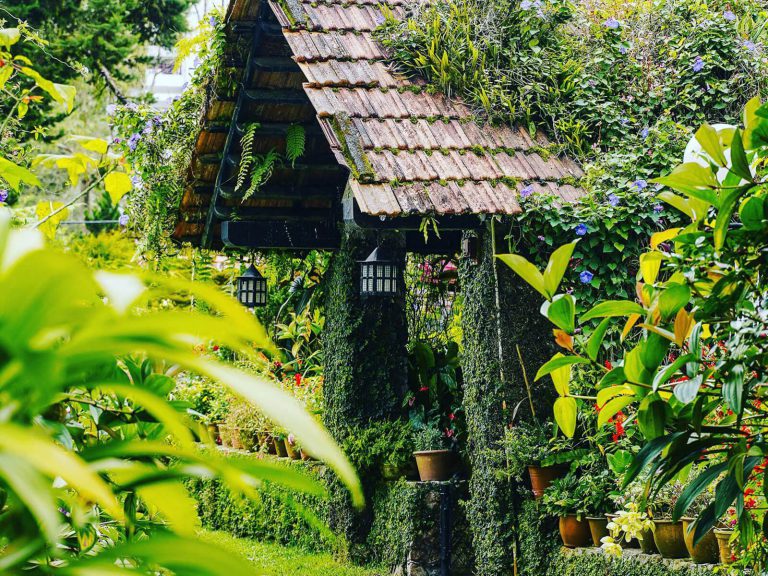 Hotels | Rama Tours