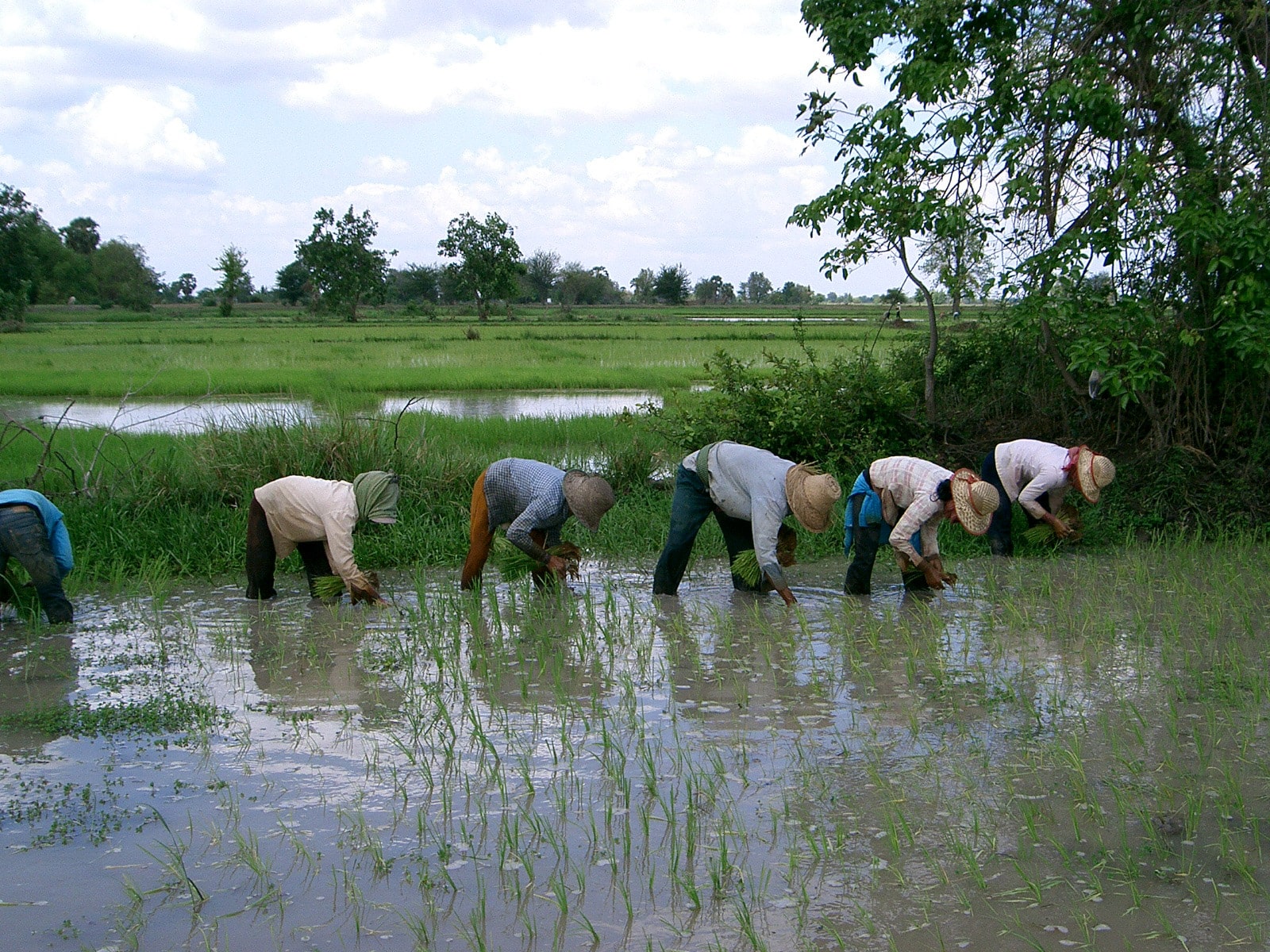 rondreis cambodja battambang hoogtepunt 4