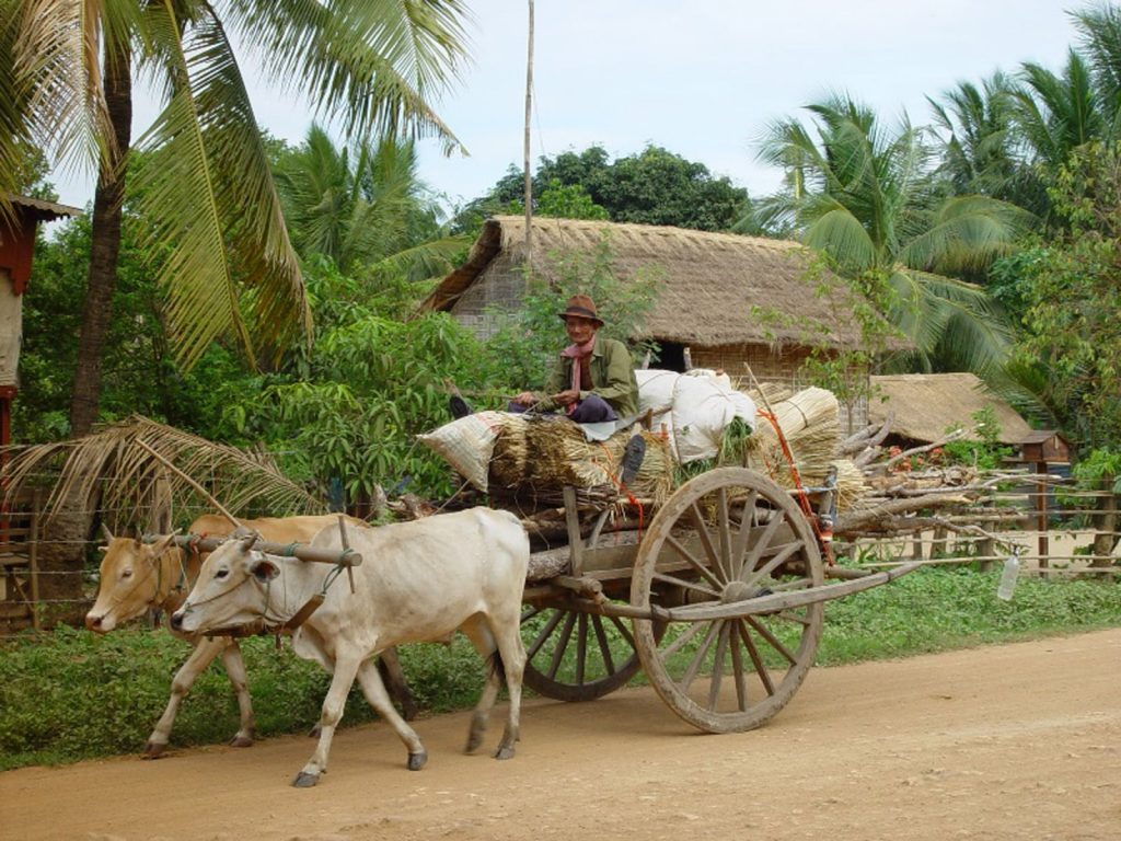 Hoogtepunten | Rama Tours