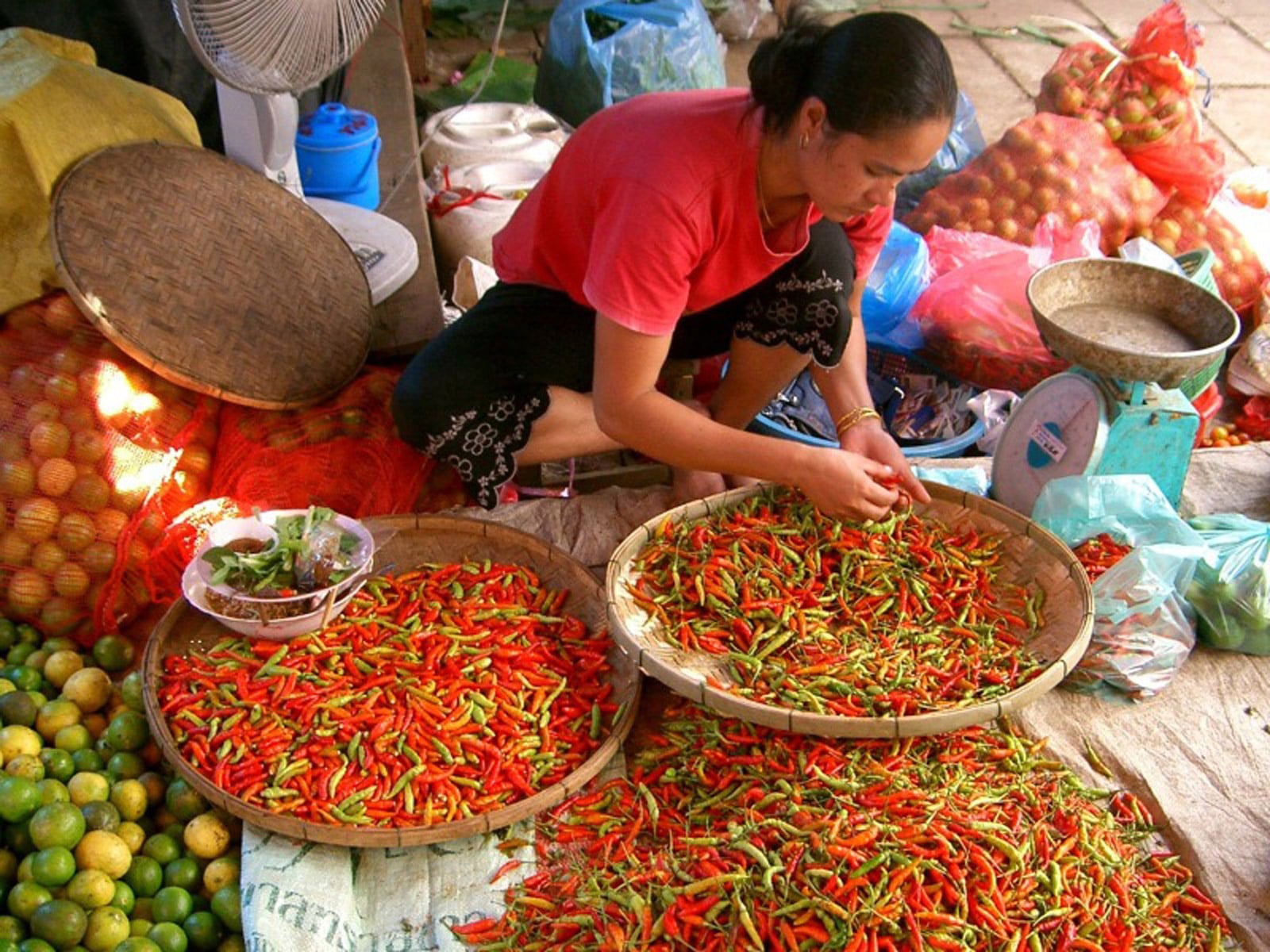 rondreis laos vientiane hoogtepunt 7