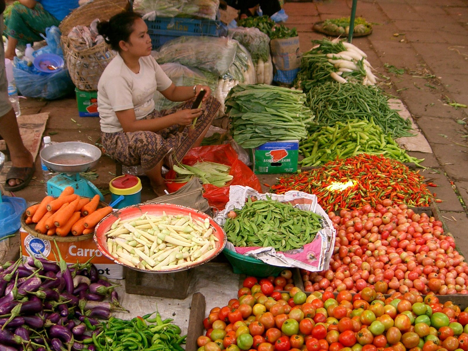 rondreis laos vientiane hoogtepunt 9