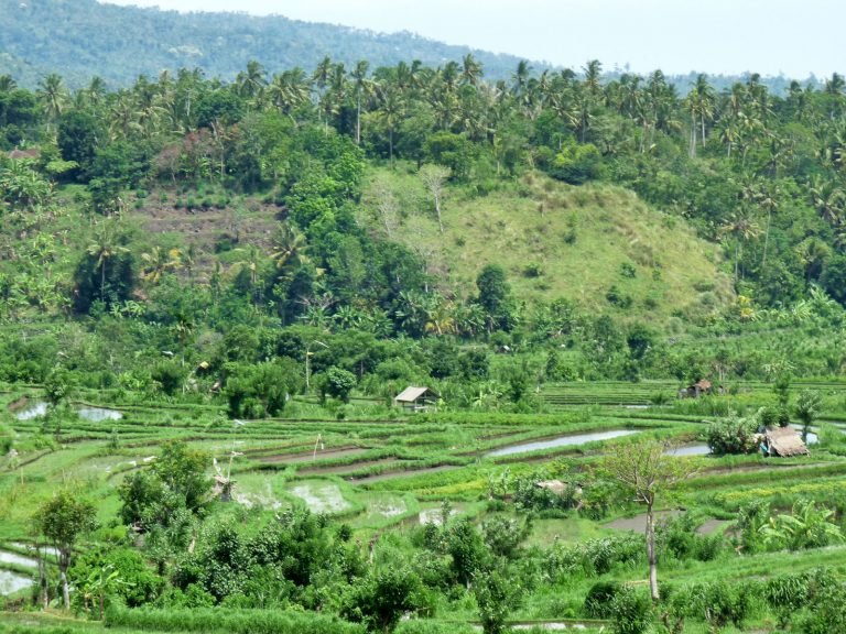 Hoogtepunten | Rama Tours