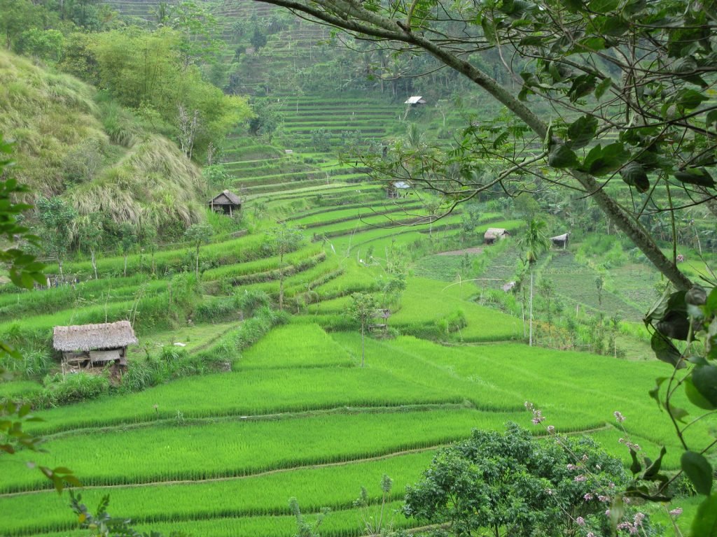 Hoogtepunten | Rama Tours