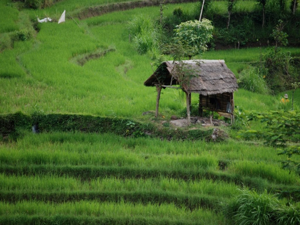 Hoogtepunten | Rama Tours