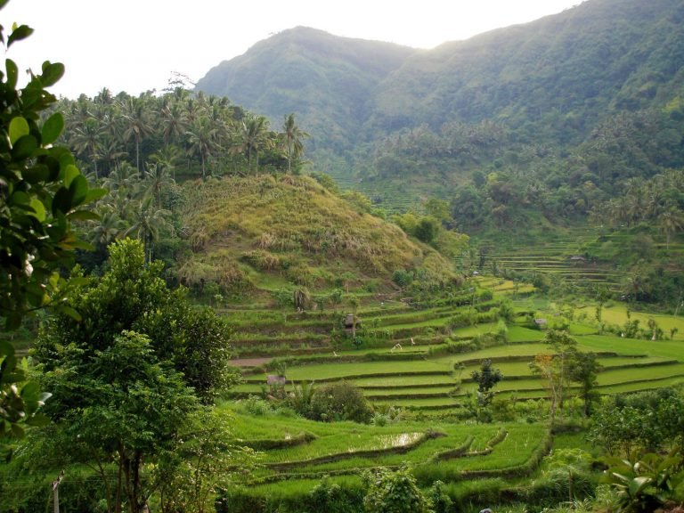 Hoogtepunten | Rama Tours
