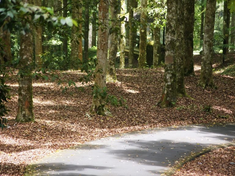 Hoogtepunten | Rama Tours