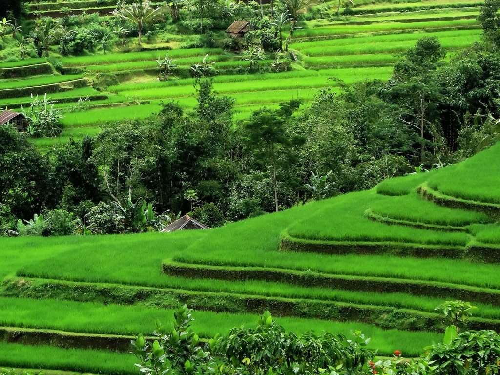 Hoogtepunten | Rama Tours