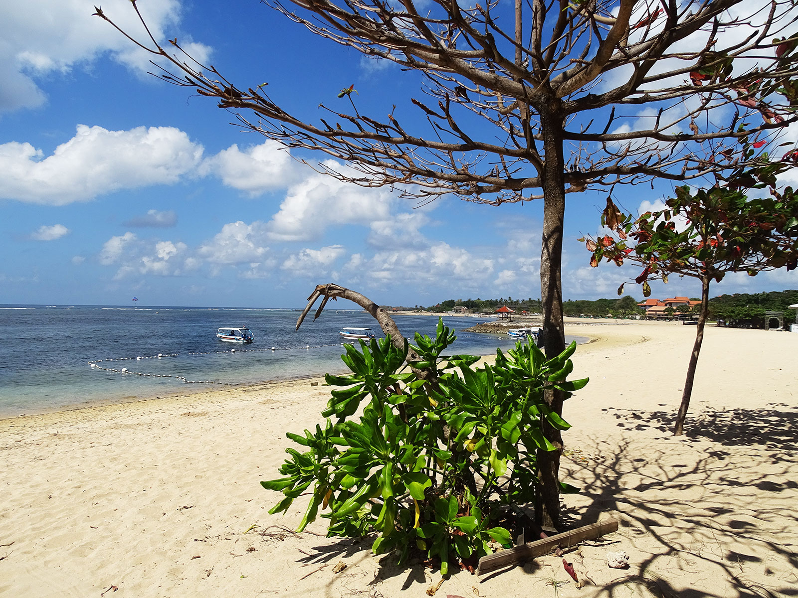 rondreis bali benoa hoogtepunt 26