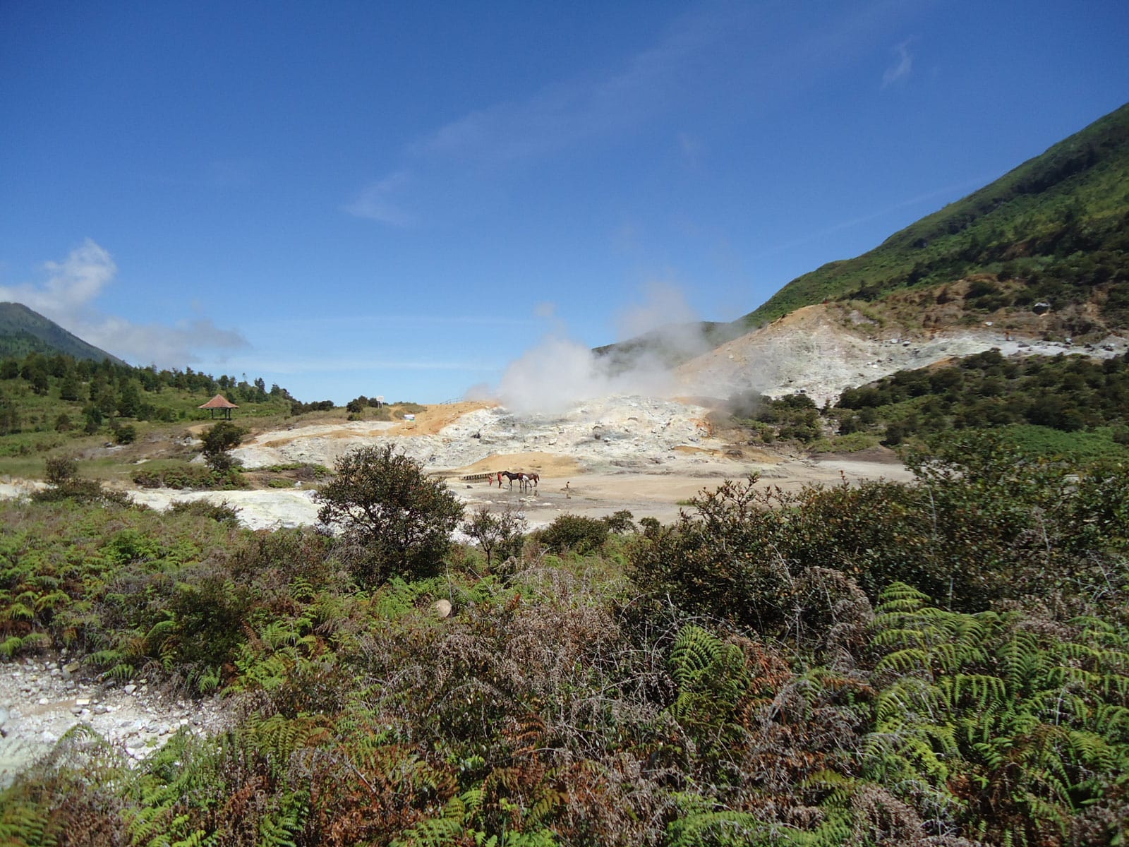rondreis java dieng plateau hoogtepunt 8