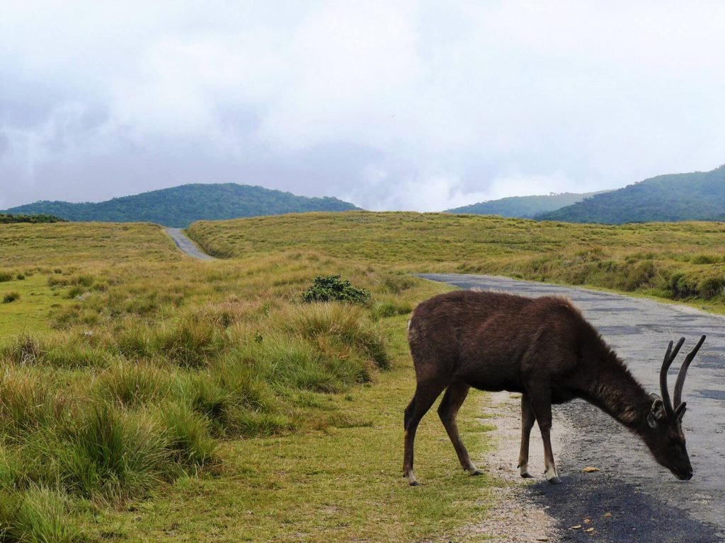 Hoogtepunten | Rama Tours