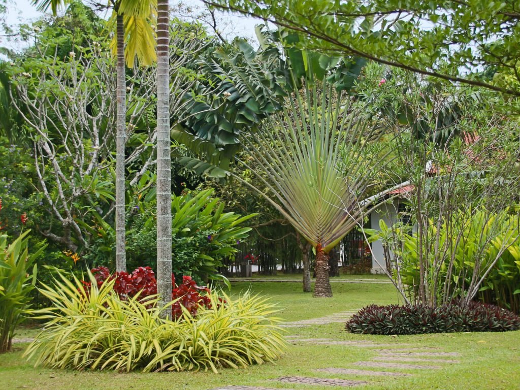 Hotels | Rama Tours
