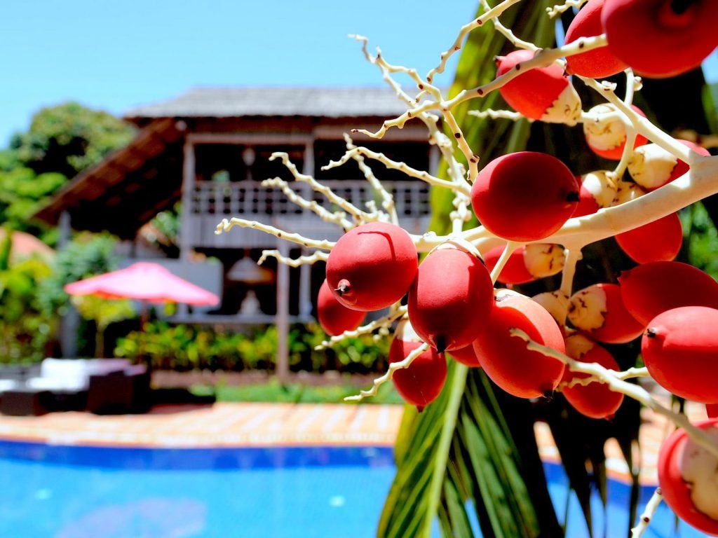 Hotels | Rama Tours