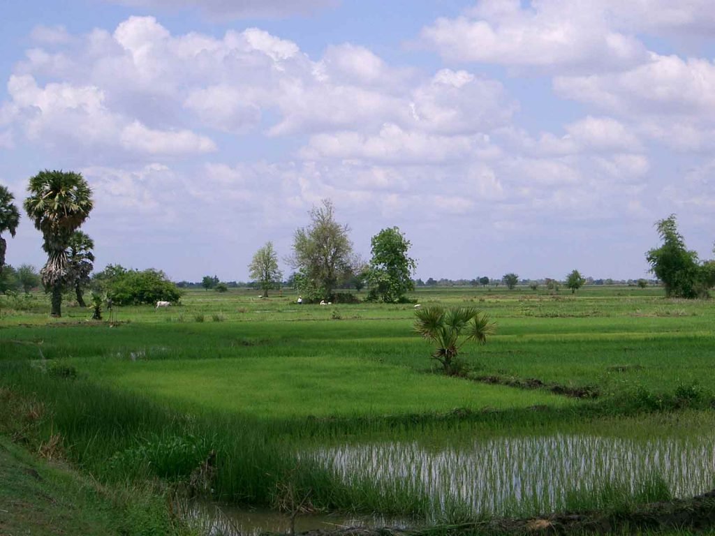 Hoogtepunten | Rama Tours