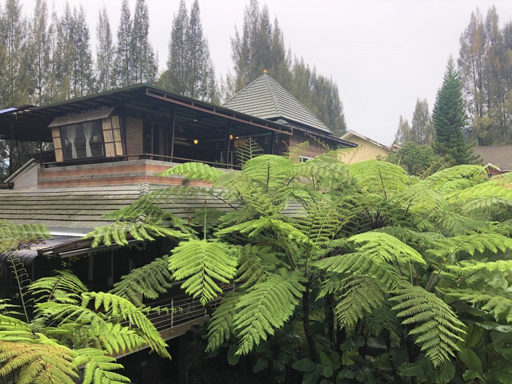 Hotels | Rama Tours