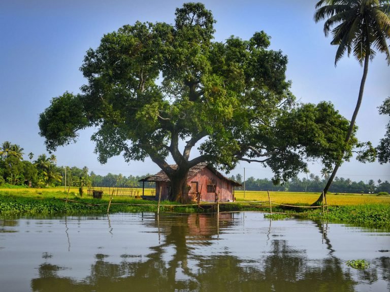 Hoogtepunten | Rama Tours