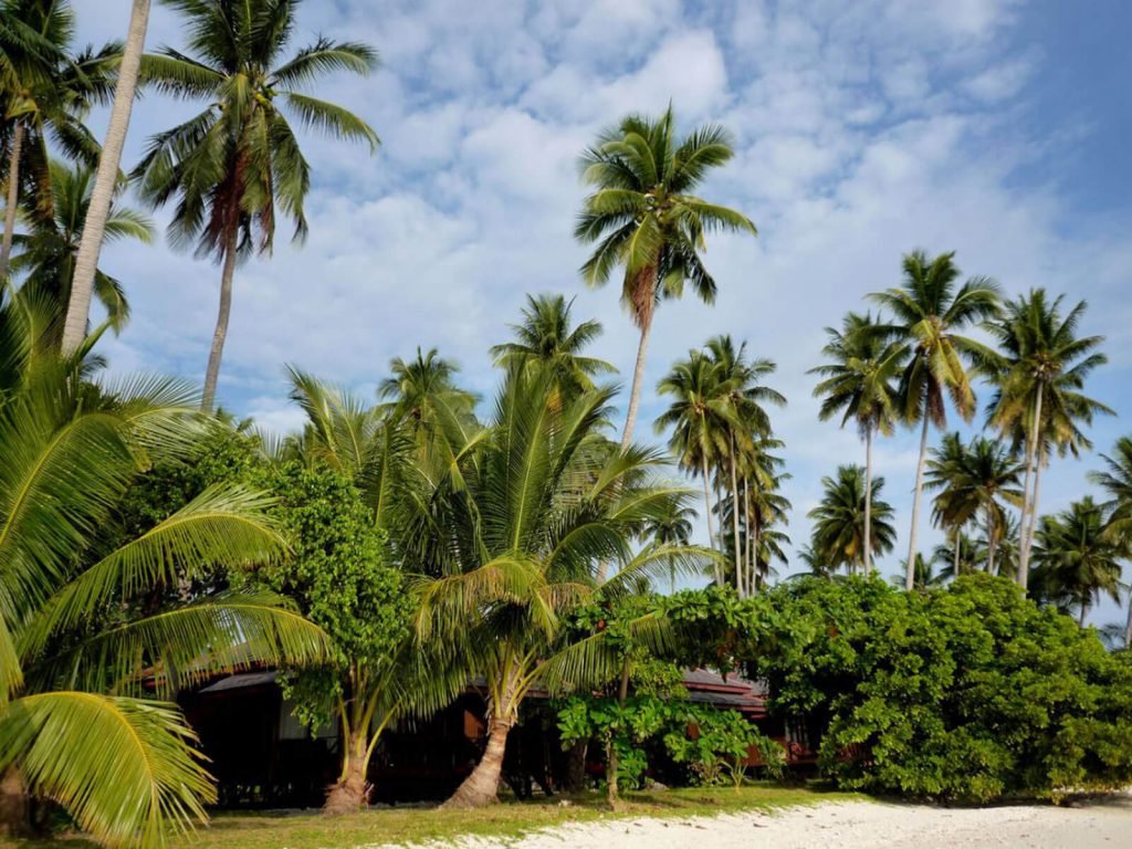 Hotels | Rama Tours