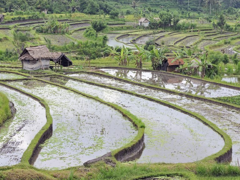 Hoogtepunten | Rama Tours