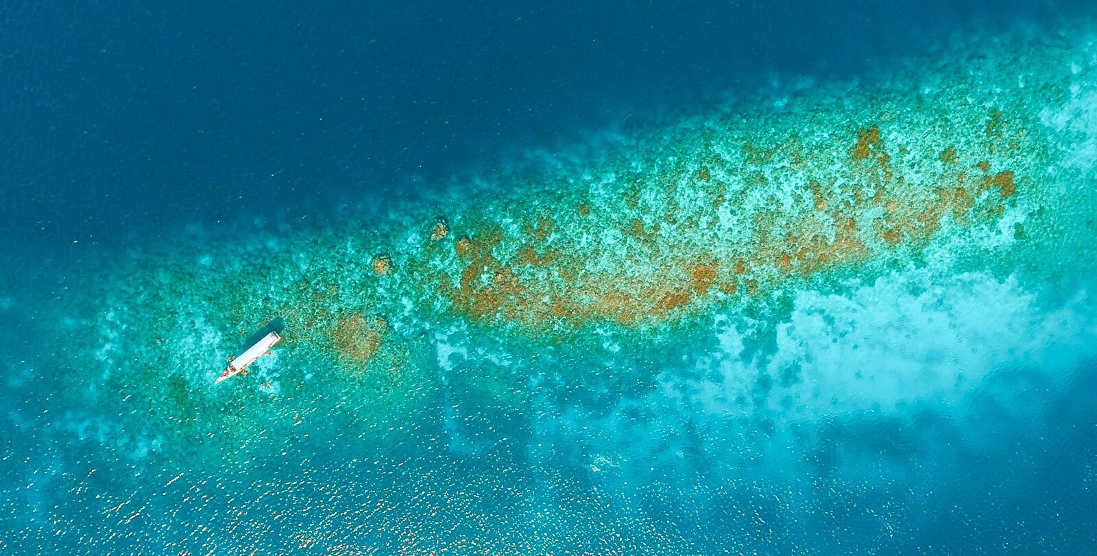 Rondreis sulawesi paradijselijk wakatobi header