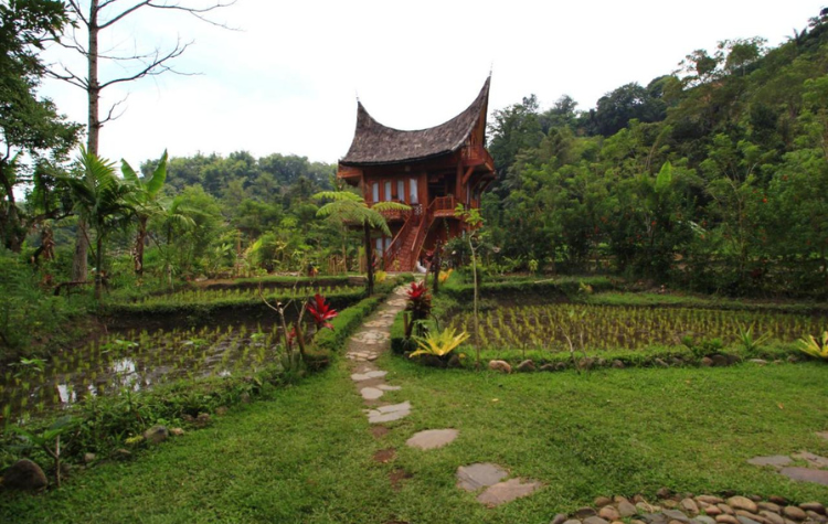 Padi EcoLodge - Bukittinggi | Rama Tours