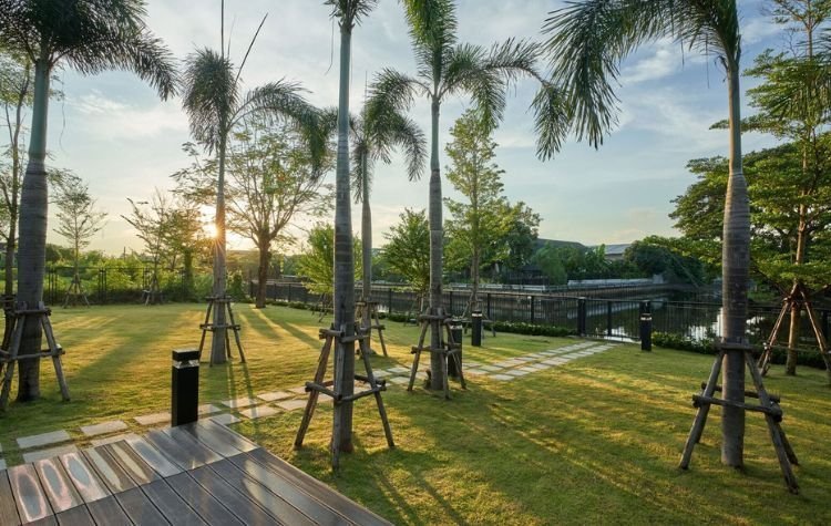The Park Nine | Rama Tours
