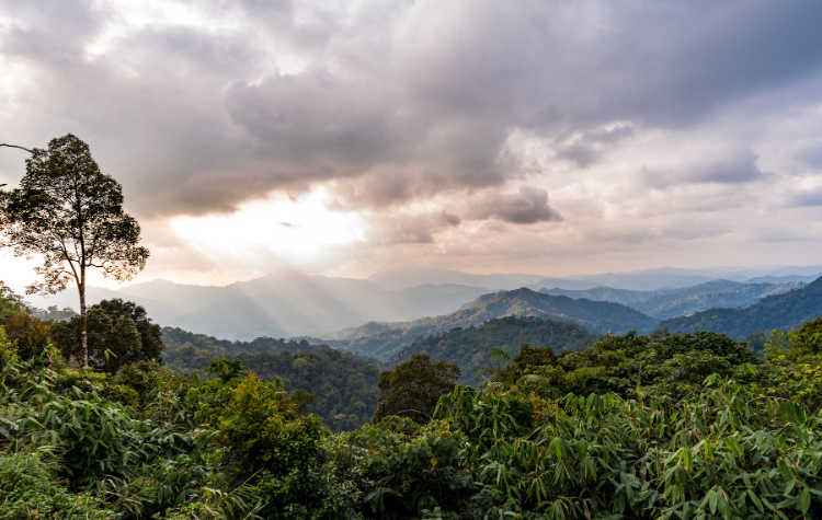 Kaeng Krachan Nationaal Park